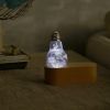 EP LIGHT - 3-Pack Flower Bulbs